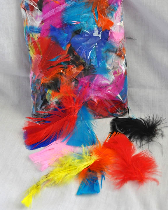 Assorted Feathers